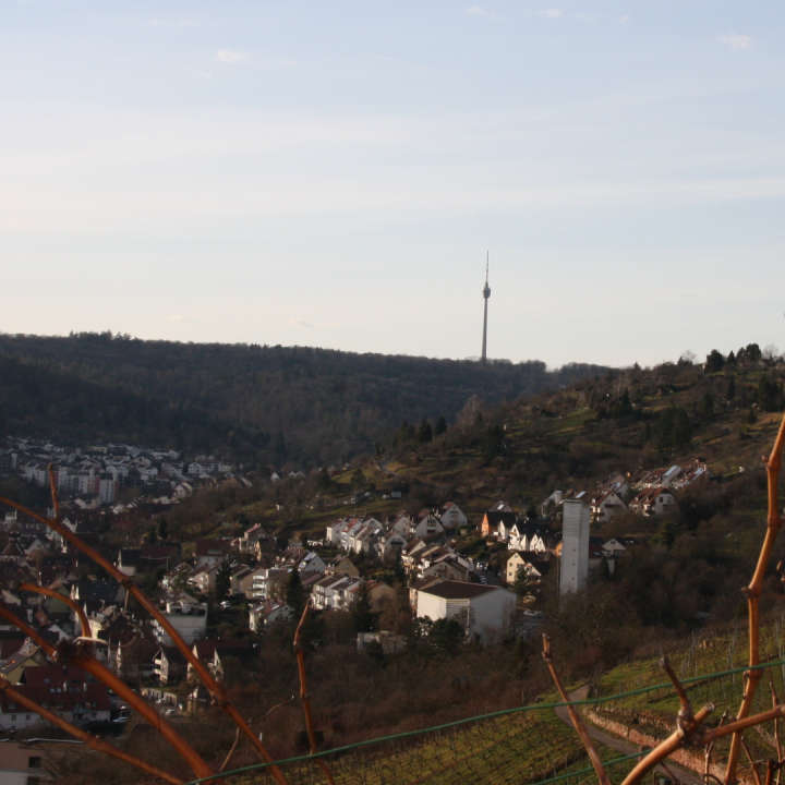 Fernsehturm hinter Rohracker Bild 1